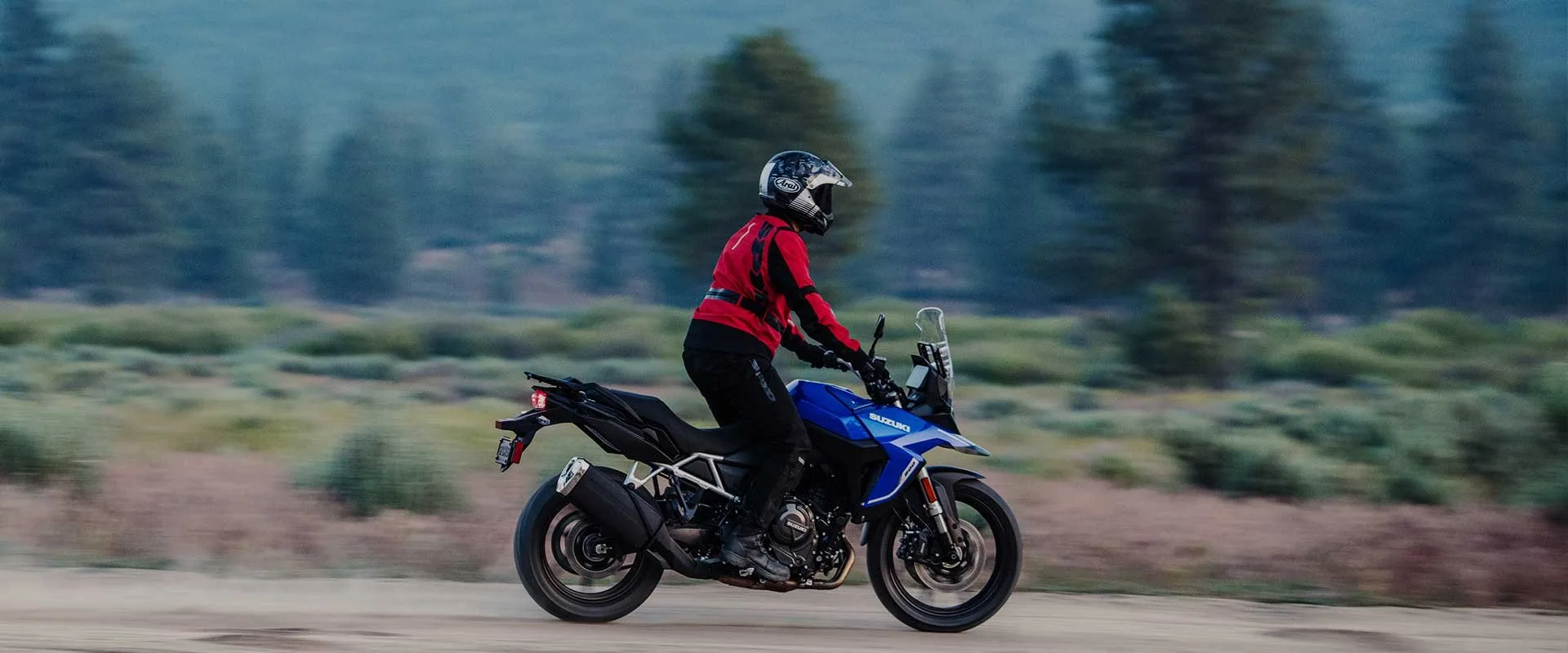 Suzuki Intelligent Ride System