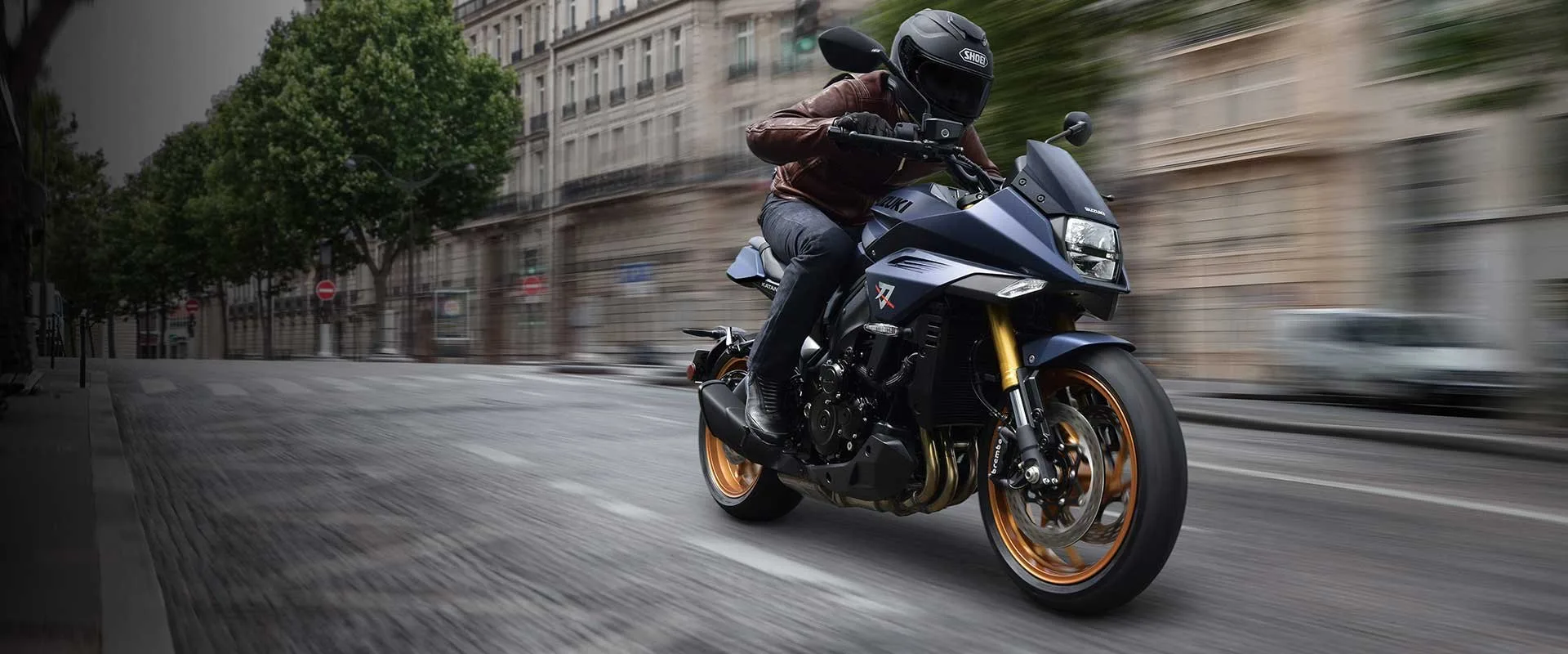 Ride-by-Wire Electronic Throttle System