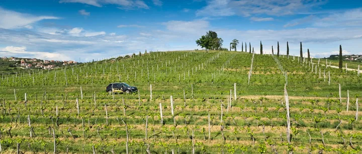 Udruga Vinistra službeni partner Suzuki Pula