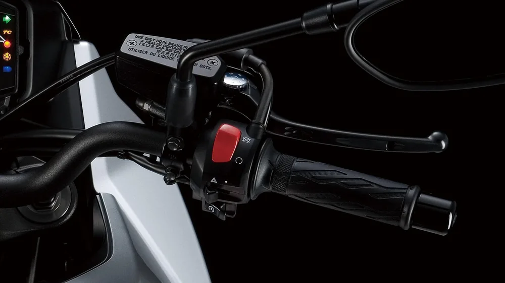 Suzuki Easy Start System